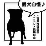 今日の1枚|愛犬自慢♪をミンナでしよう。