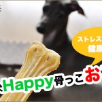 噛んで愛犬Happy!ストレス解消|骨っこおやつ プレス 小