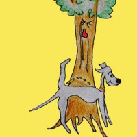 犬の習性を知る|犬の育て方