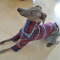 ローンパースを着て出かけるのを楽しみにしてたけど春になっちゃったね!