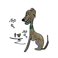 犬の成長その4|約6か月~1年の若齢期【犬の育て方 vol.43】
