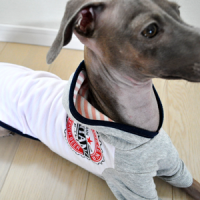 「新作」イタグレ服|春夏Tシャツにフードをつけました。