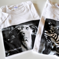 イタグレTシャツを作ってみた!