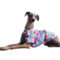「モテる犬は花を着る」イタグレ犬服の話です。