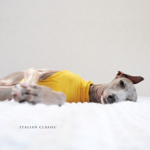 犬服|Italian Classic|イタリア製ストレッチ天竺ニット|選べる4タイプ×3カラー(Blue/Gray/Yellow)