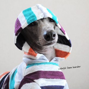 犬服|カラフルなリネンボーダー|選べる4タイプ