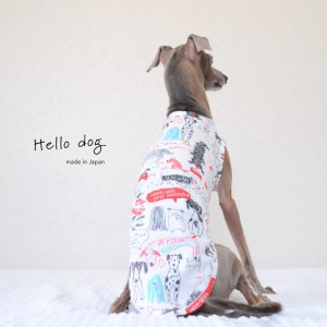 犬服|Hello dog|ダブルガーゼ×杢天竺ボーダーニット|選べる3タイプ