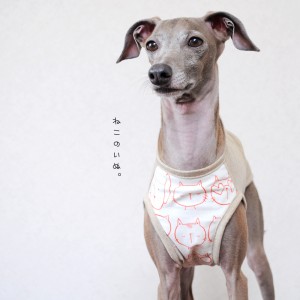犬服|ねこのいぬ。|選べる4タイプ