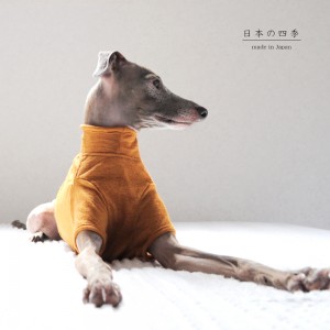 犬服|日本の四季|日本製ウール100%天竺ニット|選べる3タイプ×3カラー(菫色(すみれいろ)/琥珀色(こはくいろ)/茜色(あかねいろ))