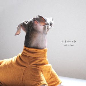 犬服|日本の四季|日本製ウール100%天竺ニット|選べる3タイプ×3カラー(菫色(すみれいろ)/琥珀色(こはくいろ)/茜色(あかねいろ))