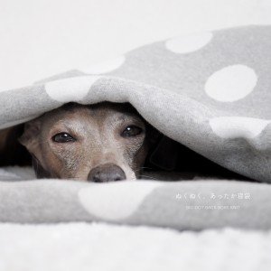 寝袋&カフェマット|ぬくぬく、あったか寝袋「もこもこ素材で毛布のような暖かさ」|大きなドット裏ボアニット生地|選べる3カラー