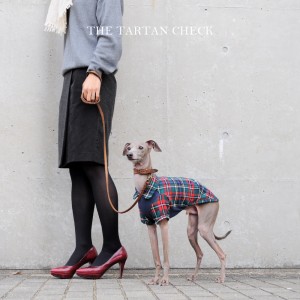 犬服|THE TARTAN CHECK|イギリス製タータンチェック生地|選べる3タイプ×3カラー(ベージュ/ネイビー/グレイ)「丸襟カスタマイズ可能」