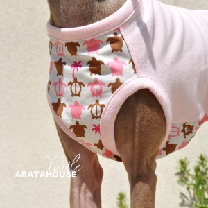 犬服|カメさん|選べる4タイプ