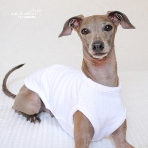犬服|サマーニット|日本製コットン100%天竺ニット|選べる3タイプ×2カラー(純白/空色)