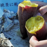 イタホイ祭りに「焼き芋」を食いに行く。in 三重県四日市「ドッグランBowwow Hills」