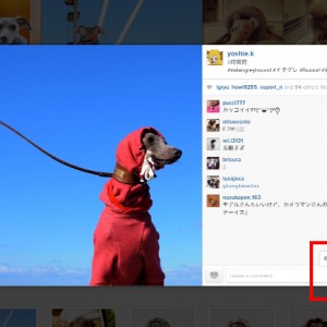 2014年12月に撮った写真の人気ベスト5を調べてみた!by Instagram|インスタをブログに掲載する方法