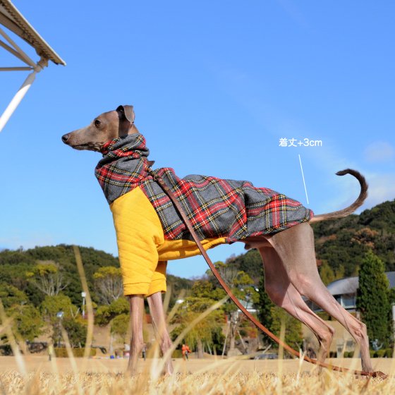 「2015年新作」イタグレ・ウィペット服|ふわっとタータンチェック|選べる4カラー&8サイズ