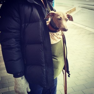 愛犬とバス酔いする俺が市営バスに乗る。でも淡路島は市営バスじゃなくて民間のバス会社だった話。