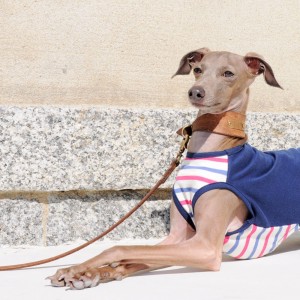 ”新作”「オールシーズン着れる犬服」シンプルボーダーニット|選べる3タイプ×3カラー販売開始です