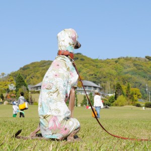 春だし明るく元気にいこうよ!そんな気持ちでデザインした犬服「Flower Garden」の撮影裏話
