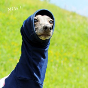 大公開!!お洒落な服を着た愛犬を「不細工に」「格好悪く」撮影する「4つのポイント」を教えます!