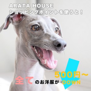 全てのお洋服が「500円DOWN」で買える|ユーザー評価(レビュー)でARATA HOUSEショッピングポイントを貯めよう!