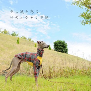 秋の新作「イタグレ服」秋のそよ風を感じながら「タータンチェック」の「およぷく」で公園を散歩する