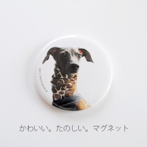 「かわいい。たのしい。時間♪」ARATA HOUSEオリジナル「マグネット」販売開始しました
