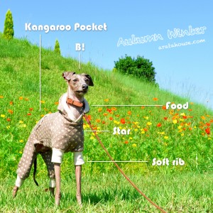 カンガルーポケット付きの新作犬服出来たけど・・販売は延期。。それでもBuono!は嬉しそう♪