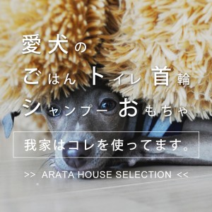 ARATA HOUSE SELECTION