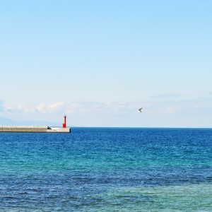 「淡路島の景色」春が近づいてる予感。
