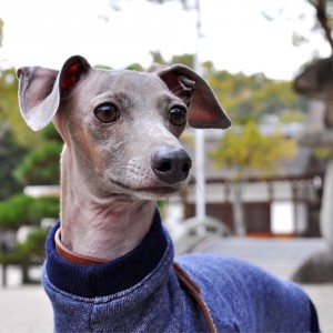 2月1日に感じたこと。「悩んだり、迷ったり、困った時の答え」
