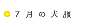 7月の犬服