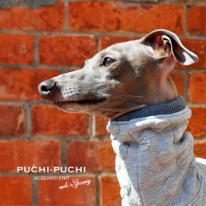 PUCHI-PUCHI
