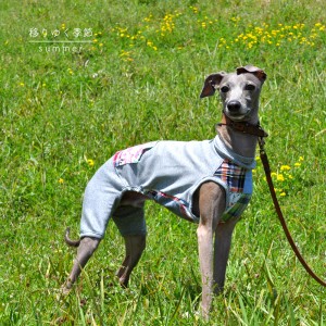 「新作犬服」春野菜が美味しい季節になりました♪移りゆく季節 -summer-|パッチワークインド綿 × 接触冷感クールマーベラス