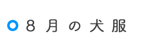 8月の犬服