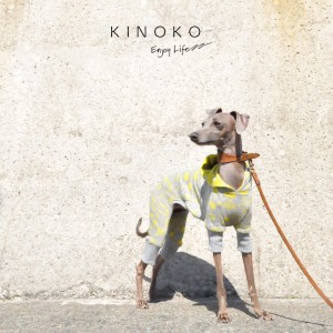 犬服|KINOKO|ジャガードニット|選べる4タイプ×3カラー(Yellow/Green/Navy)