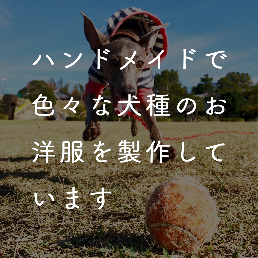 ハンドメイドで色々な犬種のお洋服を製作しています