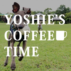YOSHIE'S COFFEE TIME-「淡路島で愛犬と過ごす時間」姫気質のかわいこちゃんと、個性的なボクちゃんと芝で待ち合わせ
