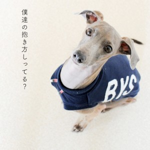 愛犬が安心できる抱き方「野良犬に遭遇したら」「知らない人に抱かせてと言われたら」「怪我をした時は」その抱き方は本当に愛犬の為になっていますか?【犬の飼い主が知ってそうで、知らない大切なこと vol.2】