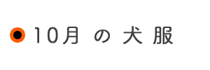 10月の犬服