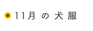 11月の犬服