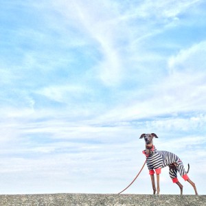 9月1日に感じたこと。「人生に山も谷もない。」