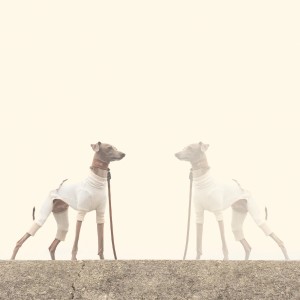 10月1日に感じたこと。「2つの考え」