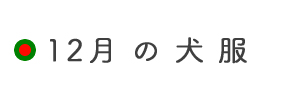 12月の犬服