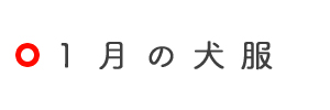 1月の犬服