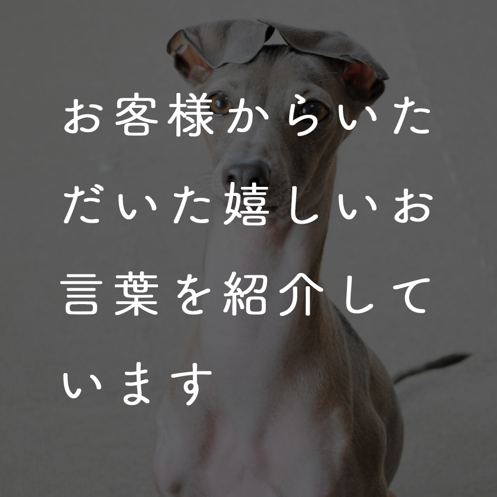 お客様からいただいた嬉しいお言葉を紹介しています。