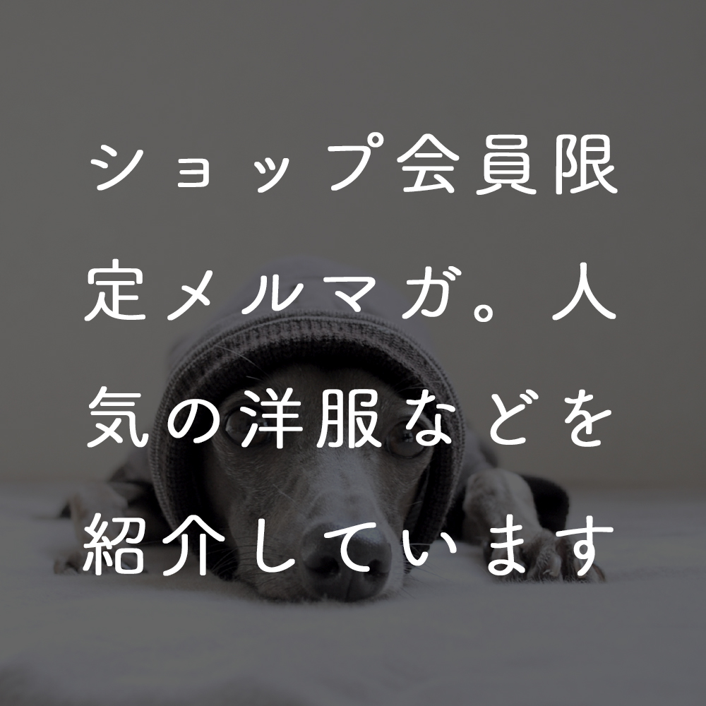ショップ会員限定メルマガ。人気の洋服などを紹介しています