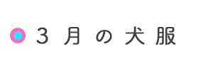 3月の犬服