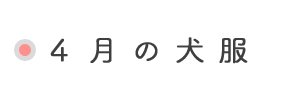 4月の犬服